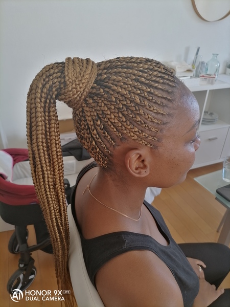 salon de coiffure afro tresse tresses box braids crochet braids vanilles tissages paris 75 77 78 91 92 93 94 95 ELHCFBJP