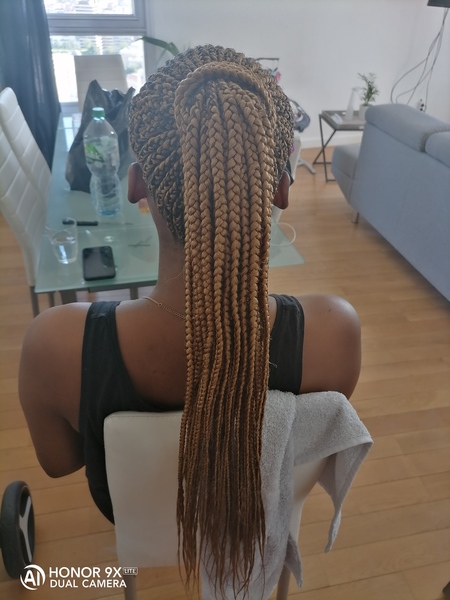 salon de coiffure afro tresse tresses box braids crochet braids vanilles tissages paris 75 77 78 91 92 93 94 95 DPCAMXJJ