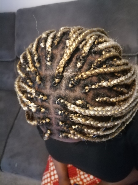 salon de coiffure afro tresse tresses box braids crochet braids vanilles tissages paris 75 77 78 91 92 93 94 95 YUJTFDWY