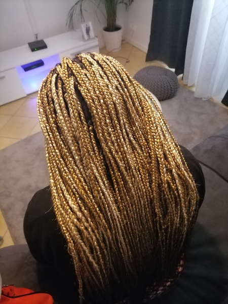 salon de coiffure afro tresse tresses box braids crochet braids vanilles tissages paris 75 77 78 91 92 93 94 95 QMKASKQC