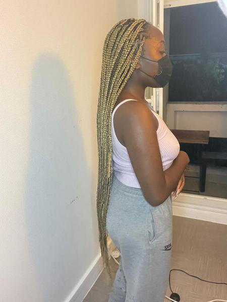 salon de coiffure afro tresse tresses box braids crochet braids vanilles tissages paris 75 77 78 91 92 93 94 95 ITJZAZSK