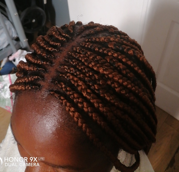 salon de coiffure afro tresse tresses box braids crochet braids vanilles tissages paris 75 77 78 91 92 93 94 95 LBAUHUKK