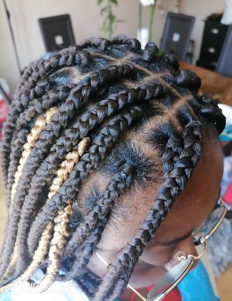 salon de coiffure afro tresse tresses box braids crochet braids vanilles tissages paris 75 77 78 91 92 93 94 95 DQLTGIKI