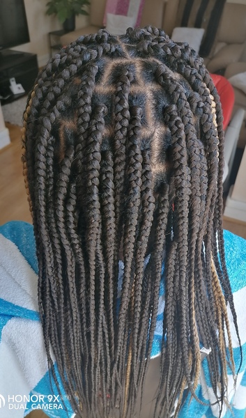 salon de coiffure afro tresse tresses box braids crochet braids vanilles tissages paris 75 77 78 91 92 93 94 95 LOJVUWRC