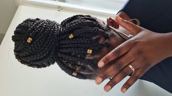salon de coiffure afro tresse tresses box braids crochet braids vanilles tissages paris 75 77 78 91 92 93 94 95 NESJZRSP
