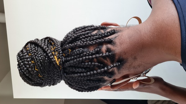 salon de coiffure afro tresse tresses box braids crochet braids vanilles tissages paris 75 77 78 91 92 93 94 95 AGQDSTGC
