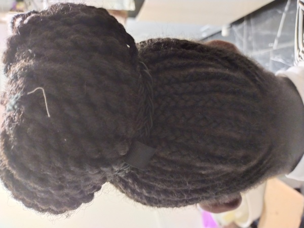 salon de coiffure afro tresse tresses box braids crochet braids vanilles tissages paris 75 77 78 91 92 93 94 95 GWPHYXDD