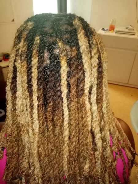 salon de coiffure afro tresse tresses box braids crochet braids vanilles tissages paris 75 77 78 91 92 93 94 95 CMOZBFSD