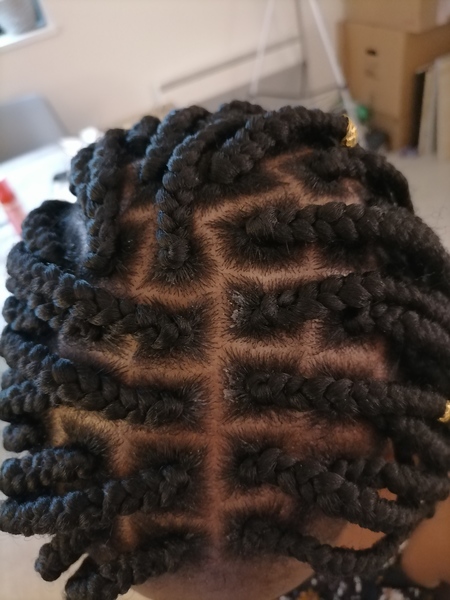 salon de coiffure afro tresse tresses box braids crochet braids vanilles tissages paris 75 77 78 91 92 93 94 95 IFDGIEPO