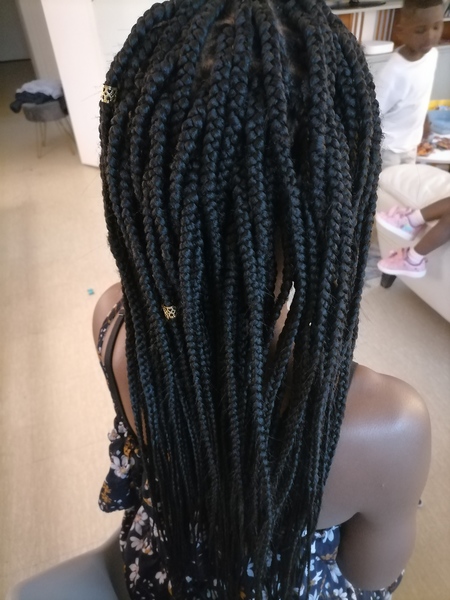salon de coiffure afro tresse tresses box braids crochet braids vanilles tissages paris 75 77 78 91 92 93 94 95 FOFWUIYM