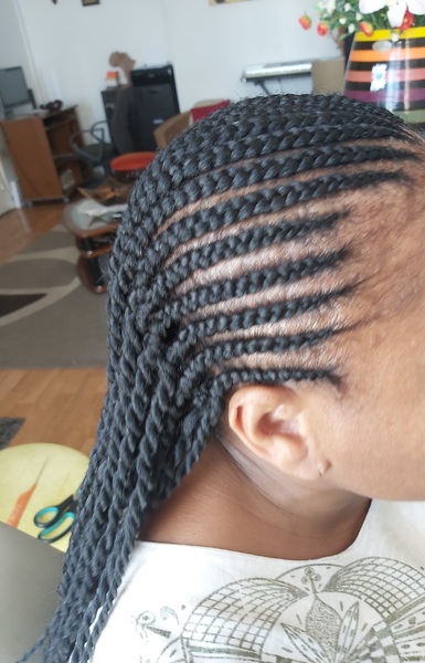salon de coiffure afro tresse tresses box braids crochet braids vanilles tissages paris 75 77 78 91 92 93 94 95 HBQILDKH