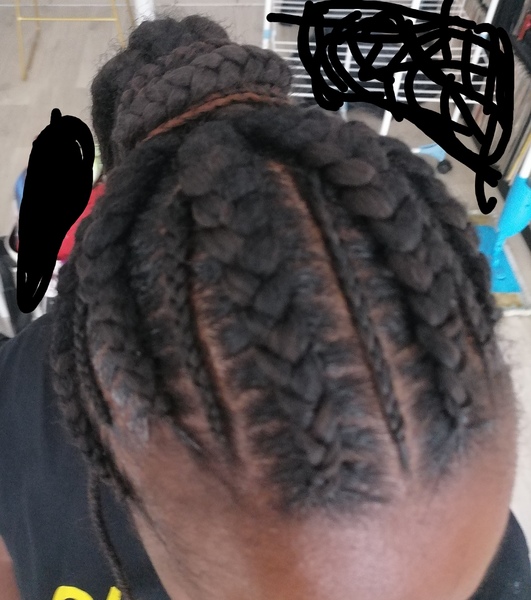 salon de coiffure afro tresse tresses box braids crochet braids vanilles tissages paris 75 77 78 91 92 93 94 95 LMCRNDNA