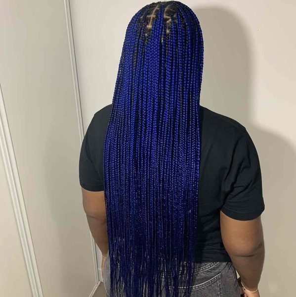 salon de coiffure afro tresse tresses box braids crochet braids vanilles tissages paris 75 77 78 91 92 93 94 95 DTGTGILB