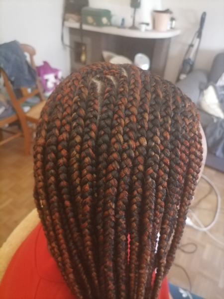 salon de coiffure afro tresse tresses box braids crochet braids vanilles tissages paris 75 77 78 91 92 93 94 95 LGZEEUPB