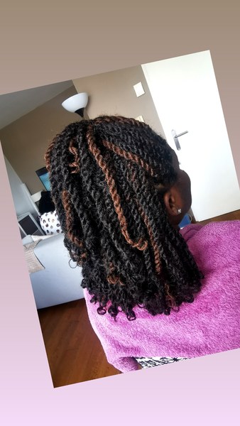 salon de coiffure afro tresse tresses box braids crochet braids vanilles tissages paris 75 77 78 91 92 93 94 95 ISRWEBMT