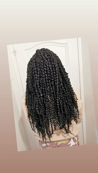 salon de coiffure afro tresse tresses box braids crochet braids vanilles tissages paris 75 77 78 91 92 93 94 95 UAZAGGZA