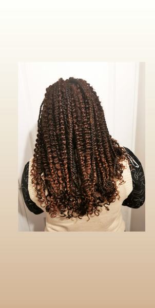 salon de coiffure afro tresse tresses box braids crochet braids vanilles tissages paris 75 77 78 91 92 93 94 95 FDYIVJIU
