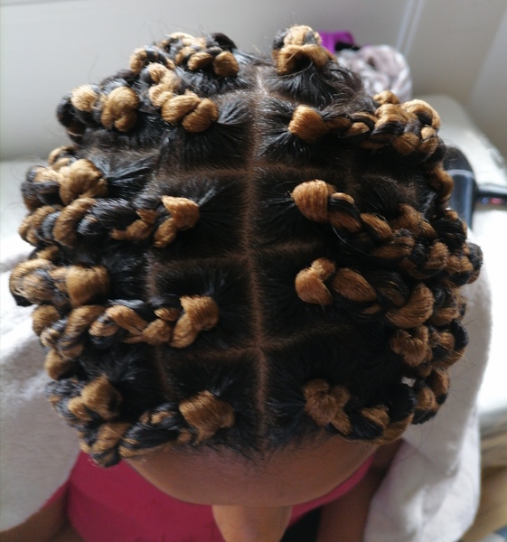salon de coiffure afro tresse tresses box braids crochet braids vanilles tissages paris 75 77 78 91 92 93 94 95 XSDIJZJG