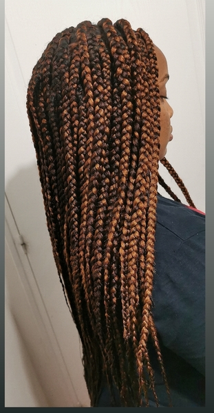 salon de coiffure afro tresse tresses box braids crochet braids vanilles tissages paris 75 77 78 91 92 93 94 95 TSQDLJBO