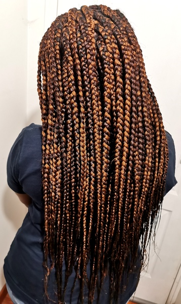 salon de coiffure afro tresse tresses box braids crochet braids vanilles tissages paris 75 77 78 91 92 93 94 95 DXDHXOLD