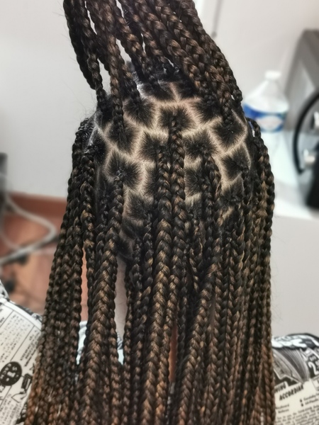 salon de coiffure afro tresse tresses box braids crochet braids vanilles tissages paris 75 77 78 91 92 93 94 95 QVPQUPPN