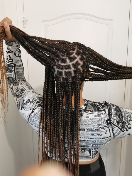 salon de coiffure afro tresse tresses box braids crochet braids vanilles tissages paris 75 77 78 91 92 93 94 95 TYUXMABB