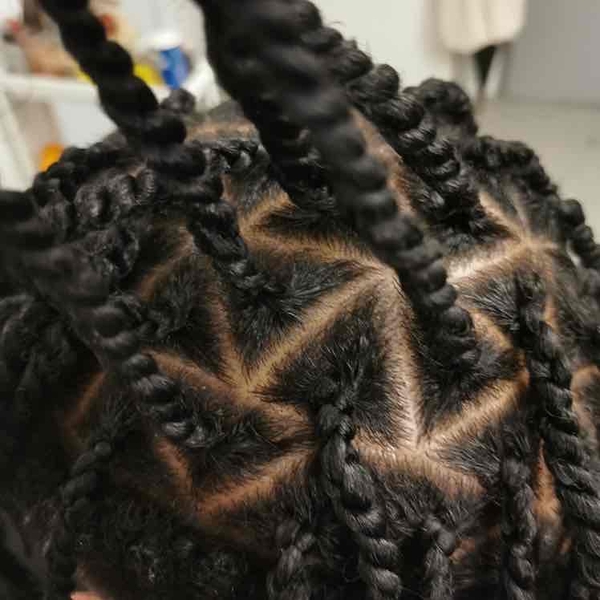 salon de coiffure afro tresse tresses box braids crochet braids vanilles tissages paris 75 77 78 91 92 93 94 95 XPIRWGWE