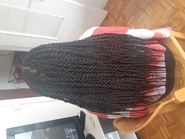 salon de coiffure afro tresse tresses box braids crochet braids vanilles tissages paris 75 77 78 91 92 93 94 95 QDRJQUHS