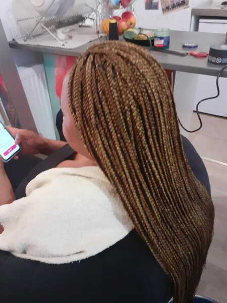 salon de coiffure afro tresse tresses box braids crochet braids vanilles tissages paris 75 77 78 91 92 93 94 95 ZANIYHKF