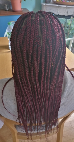 salon de coiffure afro tresse tresses box braids crochet braids vanilles tissages paris 75 77 78 91 92 93 94 95 CKPCKAXR