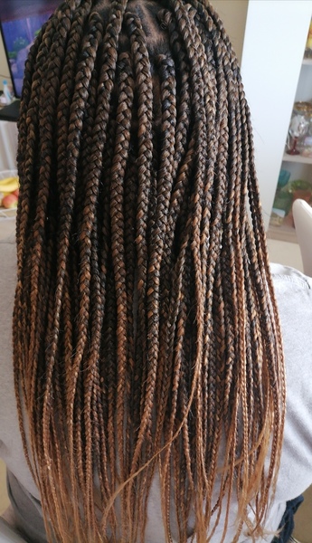salon de coiffure afro tresse tresses box braids crochet braids vanilles tissages paris 75 77 78 91 92 93 94 95 CVWFHQJM