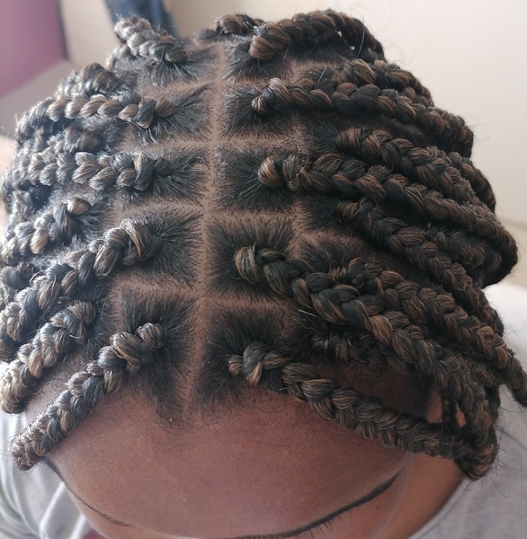salon de coiffure afro tresse tresses box braids crochet braids vanilles tissages paris 75 77 78 91 92 93 94 95 WLWAWZEO