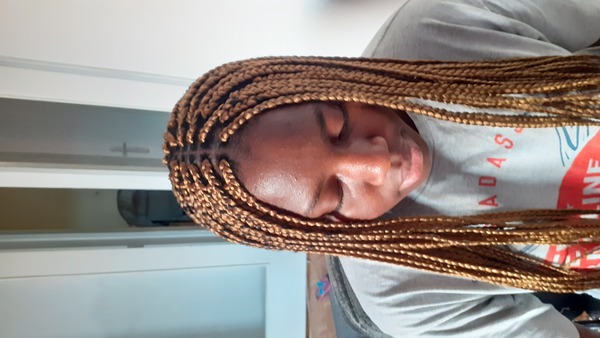 salon de coiffure afro tresse tresses box braids crochet braids vanilles tissages paris 75 77 78 91 92 93 94 95 FHIABLCQ