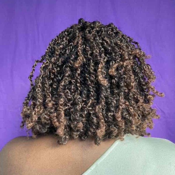 salon de coiffure afro tresse tresses box braids crochet braids vanilles tissages paris 75 77 78 91 92 93 94 95 MYZKADHF
