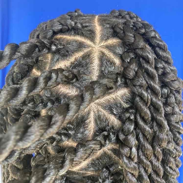 salon de coiffure afro tresse tresses box braids crochet braids vanilles tissages paris 75 77 78 91 92 93 94 95 GWZPYBCZ