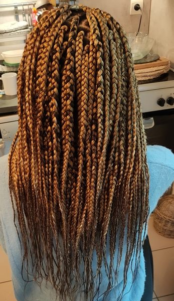 salon de coiffure afro tresse tresses box braids crochet braids vanilles tissages paris 75 77 78 91 92 93 94 95 AJXSQPJJ