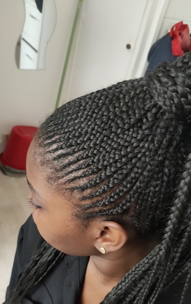salon de coiffure afro tresse tresses box braids crochet braids vanilles tissages paris 75 77 78 91 92 93 94 95 ZAJEZEUU