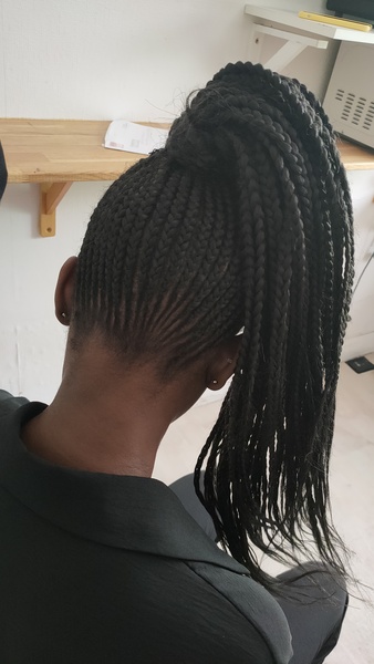salon de coiffure afro tresse tresses box braids crochet braids vanilles tissages paris 75 77 78 91 92 93 94 95 KGYHTHRS