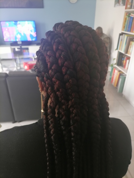 salon de coiffure afro tresse tresses box braids crochet braids vanilles tissages paris 75 77 78 91 92 93 94 95 IAPGMAQJ