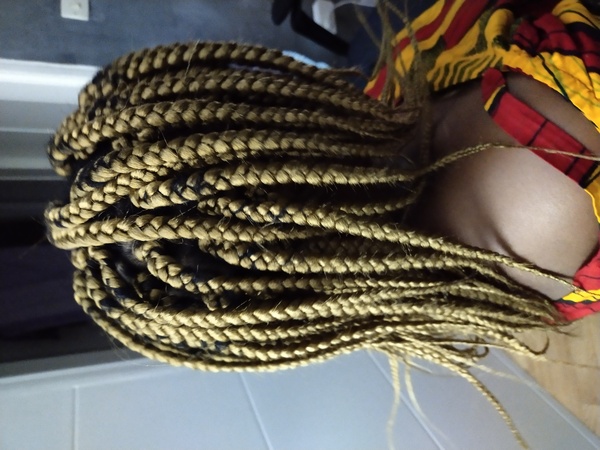 salon de coiffure afro tresse tresses box braids crochet braids vanilles tissages paris 75 77 78 91 92 93 94 95 UNPYGCHR