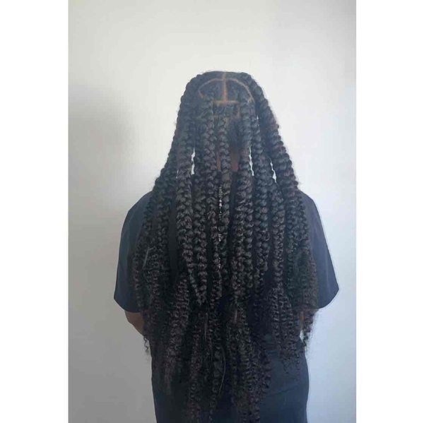 salon de coiffure afro tresse tresses box braids crochet braids vanilles tissages paris 75 77 78 91 92 93 94 95 YFPLHMMQ