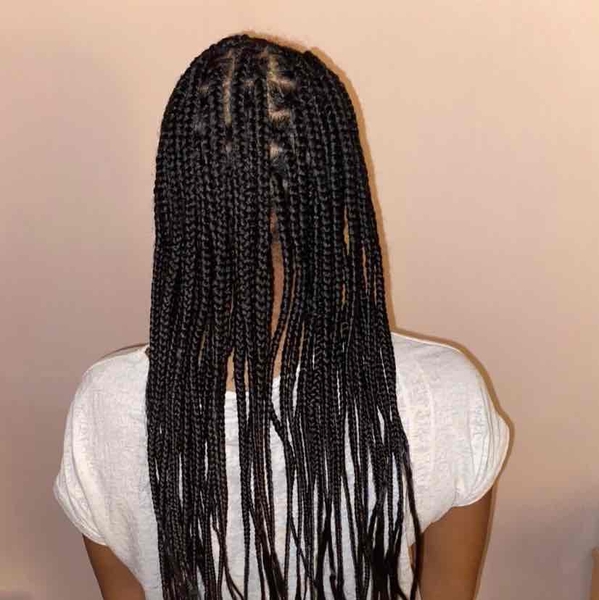 salon de coiffure afro tresse tresses box braids crochet braids vanilles tissages paris 75 77 78 91 92 93 94 95 EFZNFSPB