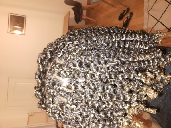 salon de coiffure afro tresse tresses box braids crochet braids vanilles tissages paris 75 77 78 91 92 93 94 95 PCPFJYFN