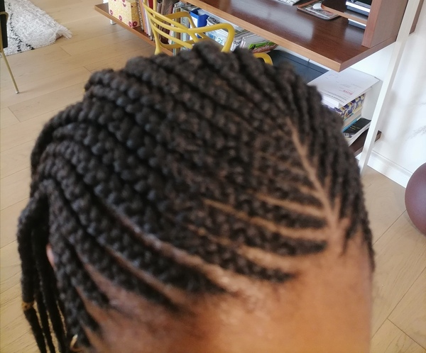 salon de coiffure afro tresse tresses box braids crochet braids vanilles tissages paris 75 77 78 91 92 93 94 95 JKBKMNYJ