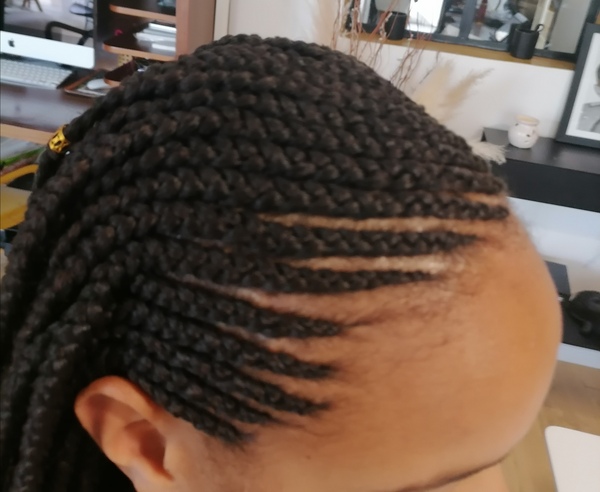 salon de coiffure afro tresse tresses box braids crochet braids vanilles tissages paris 75 77 78 91 92 93 94 95 LIBMWNOB