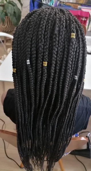 salon de coiffure afro tresse tresses box braids crochet braids vanilles tissages paris 75 77 78 91 92 93 94 95 OWGHKBSD