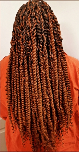 salon de coiffure afro tresse tresses box braids crochet braids vanilles tissages paris 75 77 78 91 92 93 94 95 JZEJHGTS