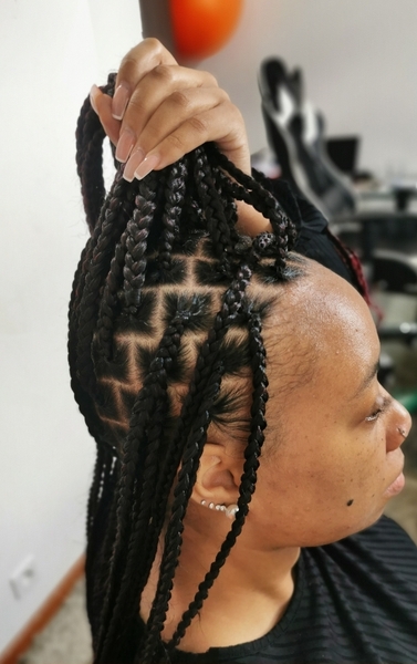 salon de coiffure afro tresse tresses box braids crochet braids vanilles tissages paris 75 77 78 91 92 93 94 95 ABXRRBUS