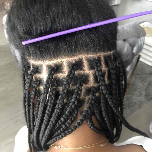 salon de coiffure afro tresse tresses box braids crochet braids vanilles tissages paris 75 77 78 91 92 93 94 95 PDZXMDBR