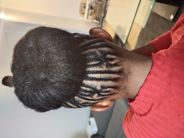 salon de coiffure afro tresse tresses box braids crochet braids vanilles tissages paris 75 77 78 91 92 93 94 95 NXQSMMVO